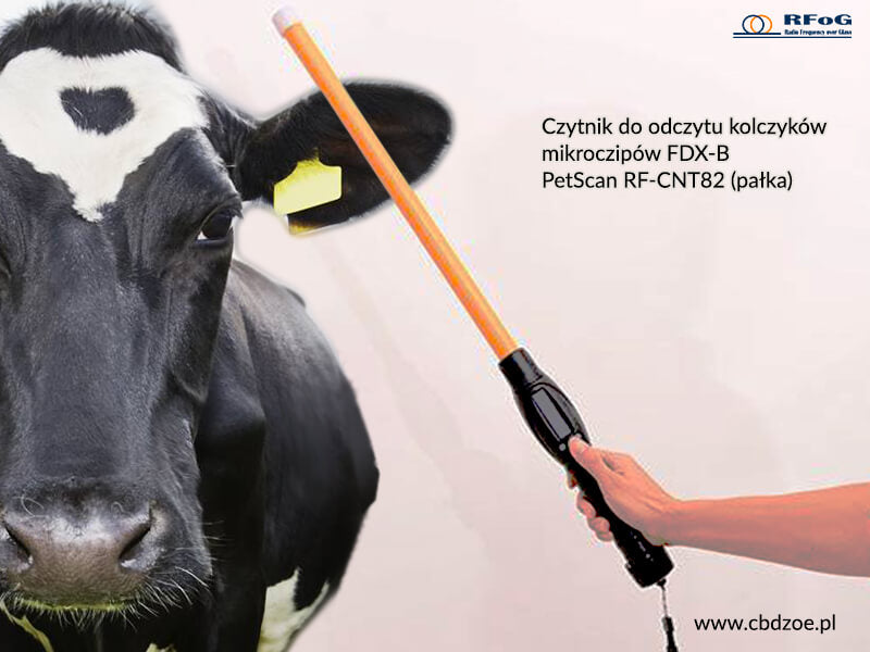 Czytnik mikrochipów do identyfikacji  zwierząt PetScan RF-CNT82 FDX-B HDX